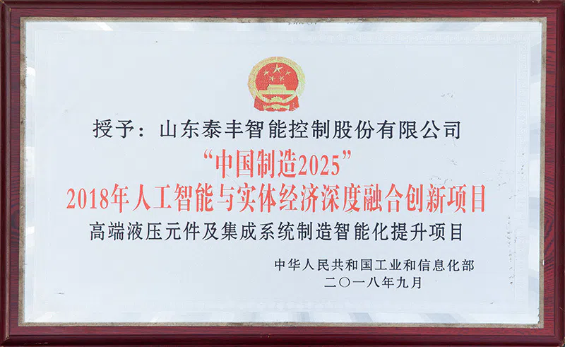2018年人工智能与实体经济深度融合创新项目.webp